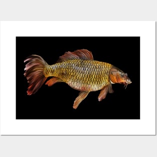 Chinese carp Posters and Art